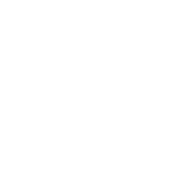 Natural Language Processing (NLP)